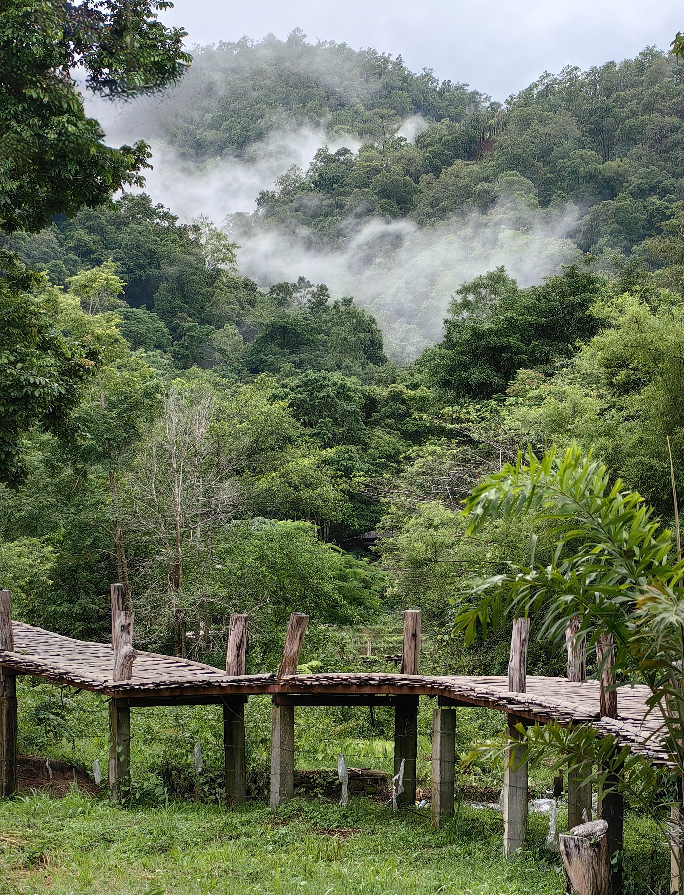 Фотография автора Кристина Феминова