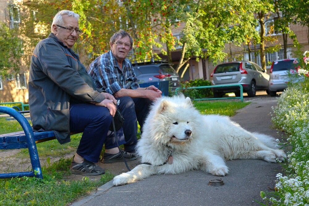 Photograph by Гагик Саркисян