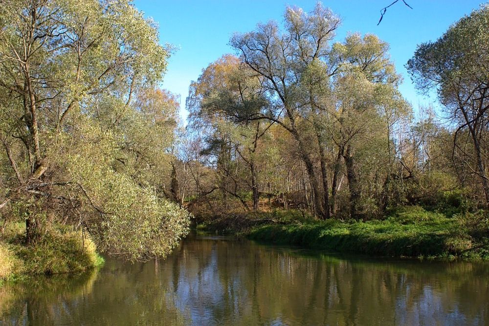 Photograph by Евгений Беленков