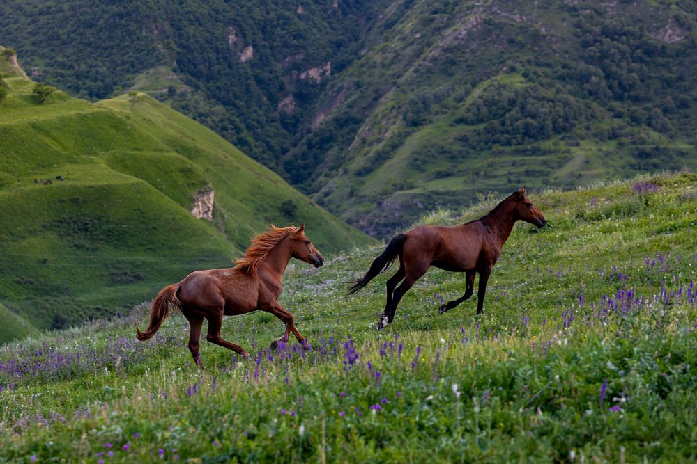 Photograph by Раздорова Мария