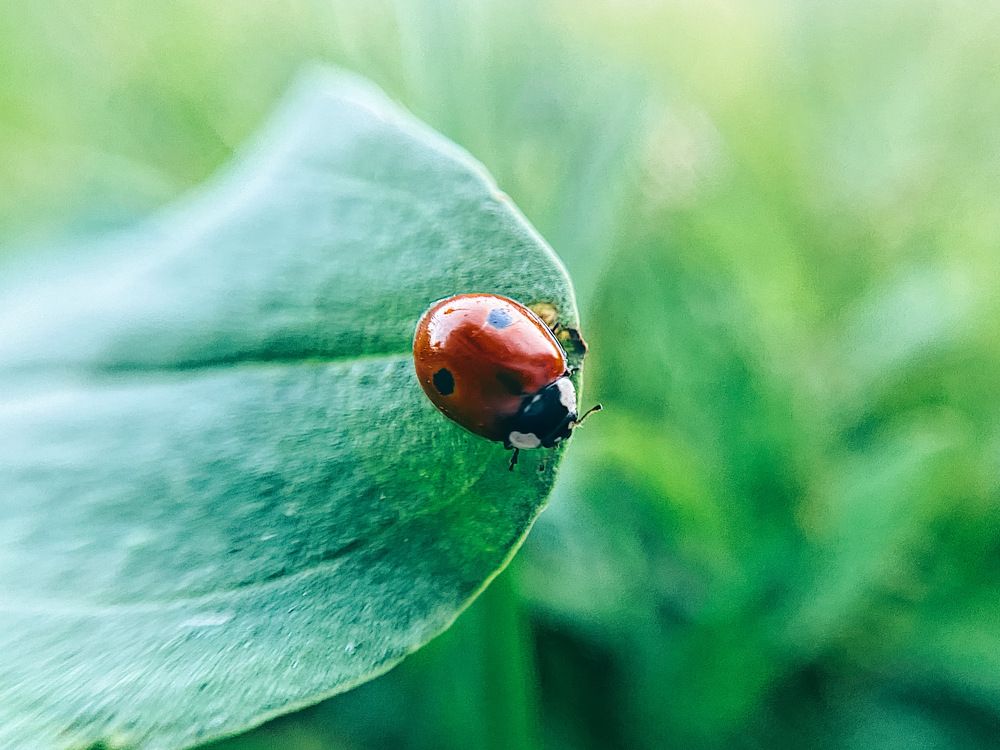 Photograph by Екатерина Комиссарова