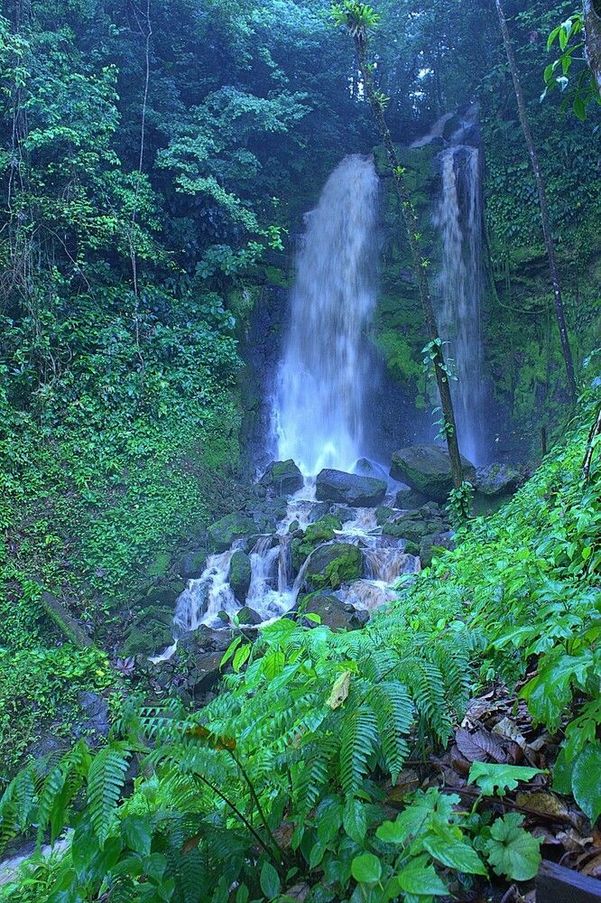 Photograph by Oleg Chemodanov