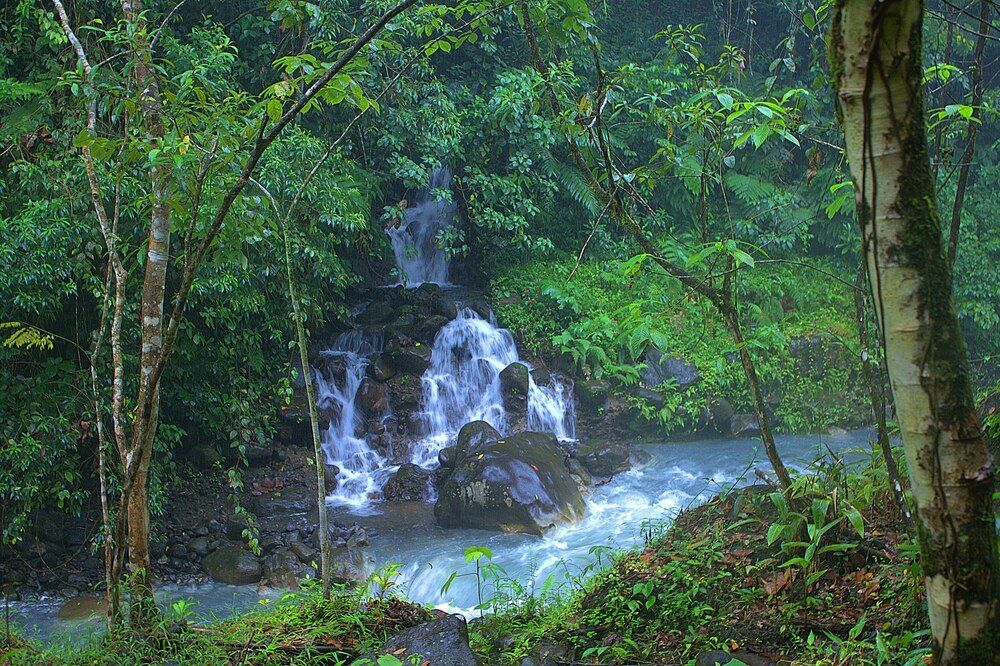 Photograph by Oleg Chemodanov