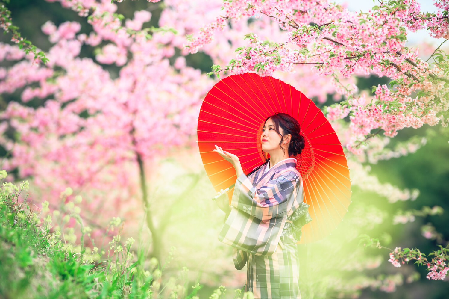 Photo #13276949