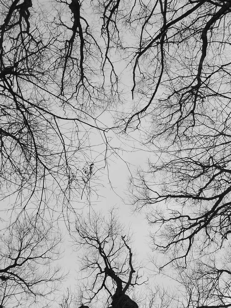 Photograph by Илья Сергеев