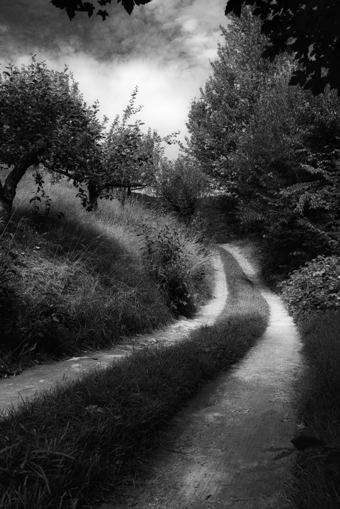 Фотография автора Дима Шарапов