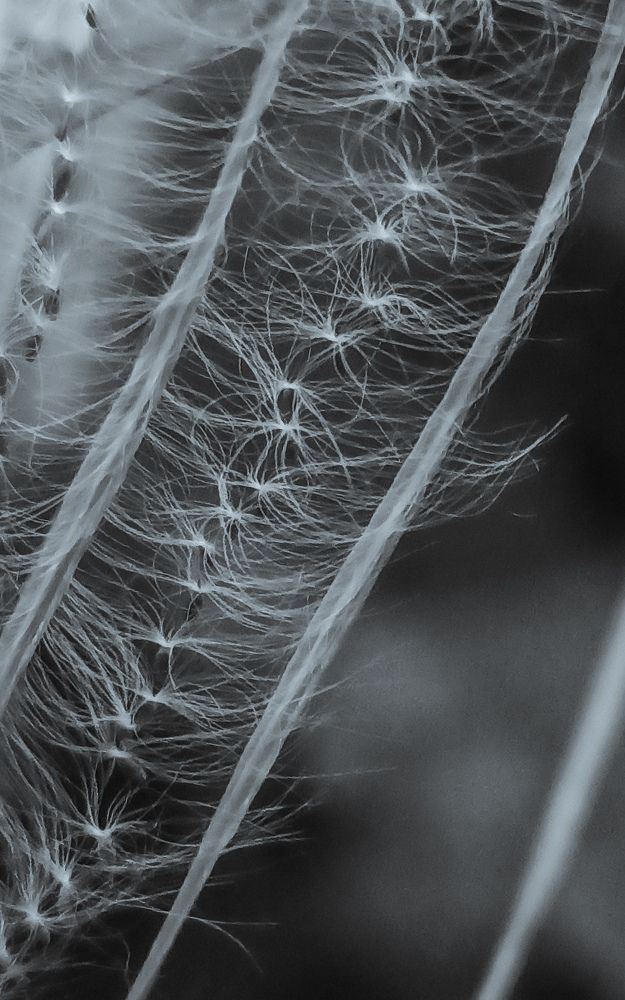 Photograph by Ольга Ситникова