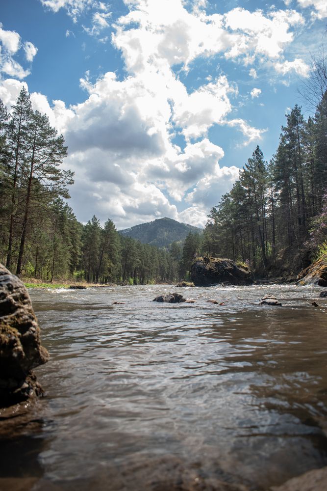 Photograph by Михаил Жарков