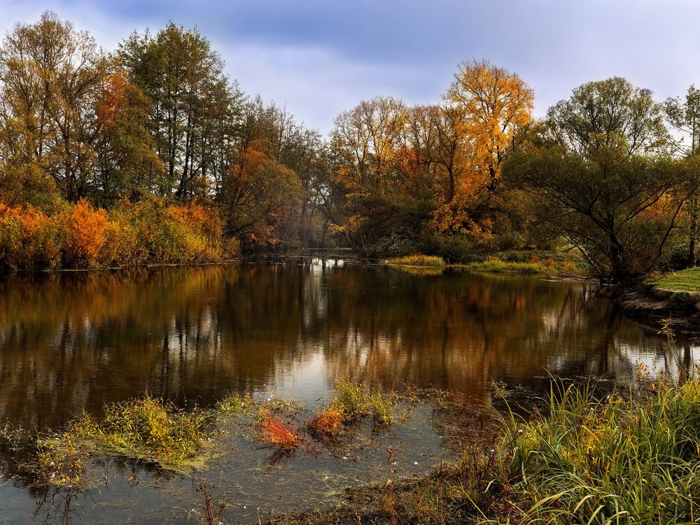Фотография автора Сергей Степанов