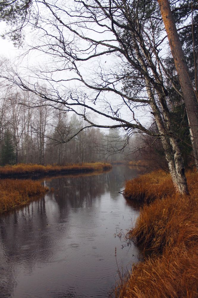 Photograph by Мария Василенко