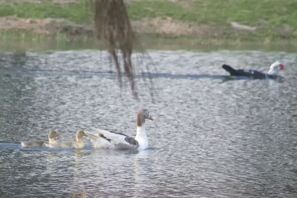 Фотография автора Guillermo Topp