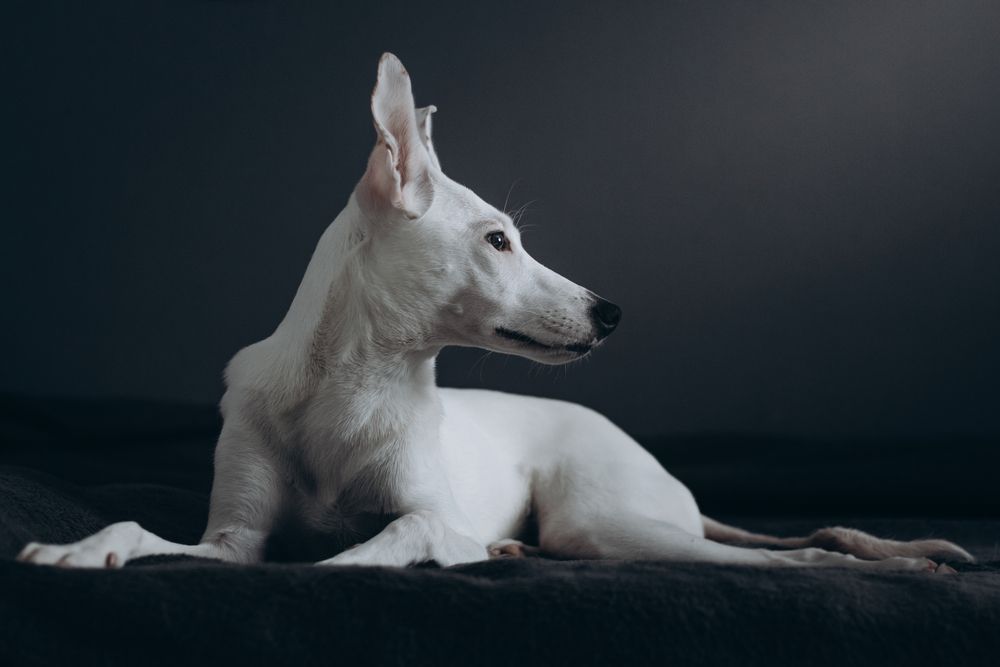 Photograph by Данил Шукан