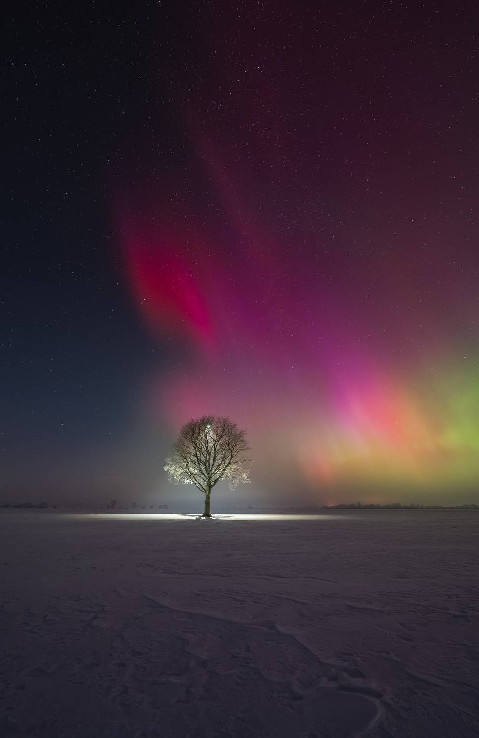 Фотография #13277269