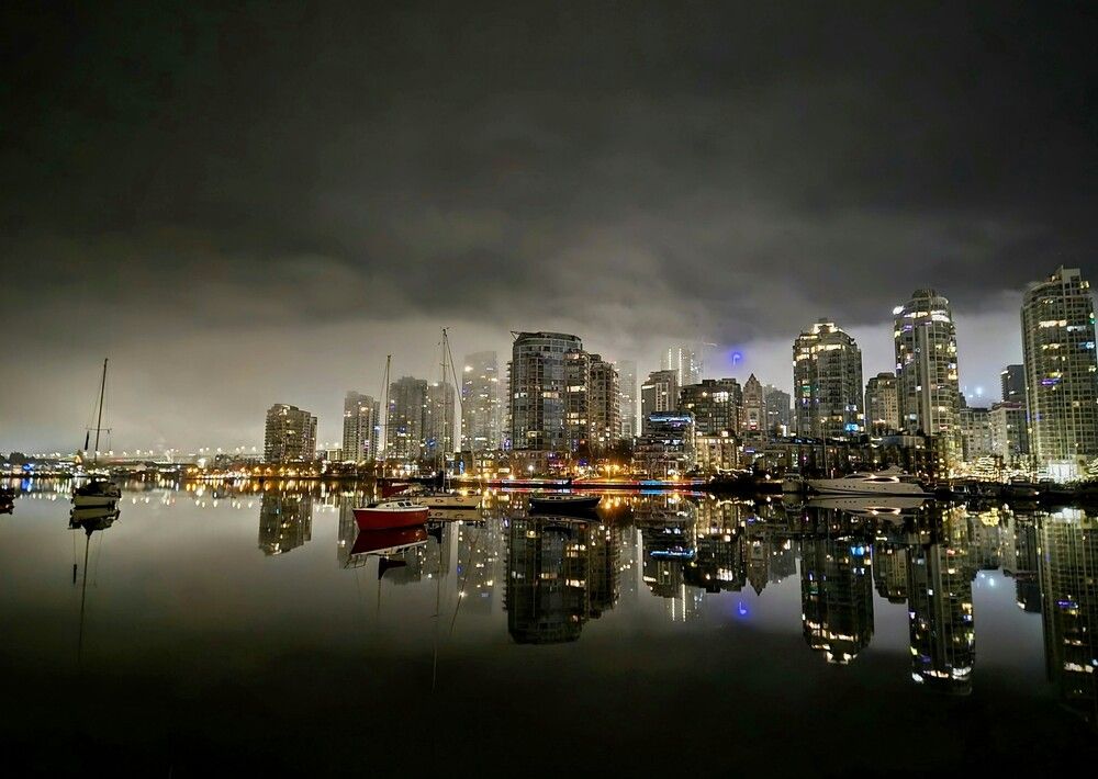 False Creek Fog
