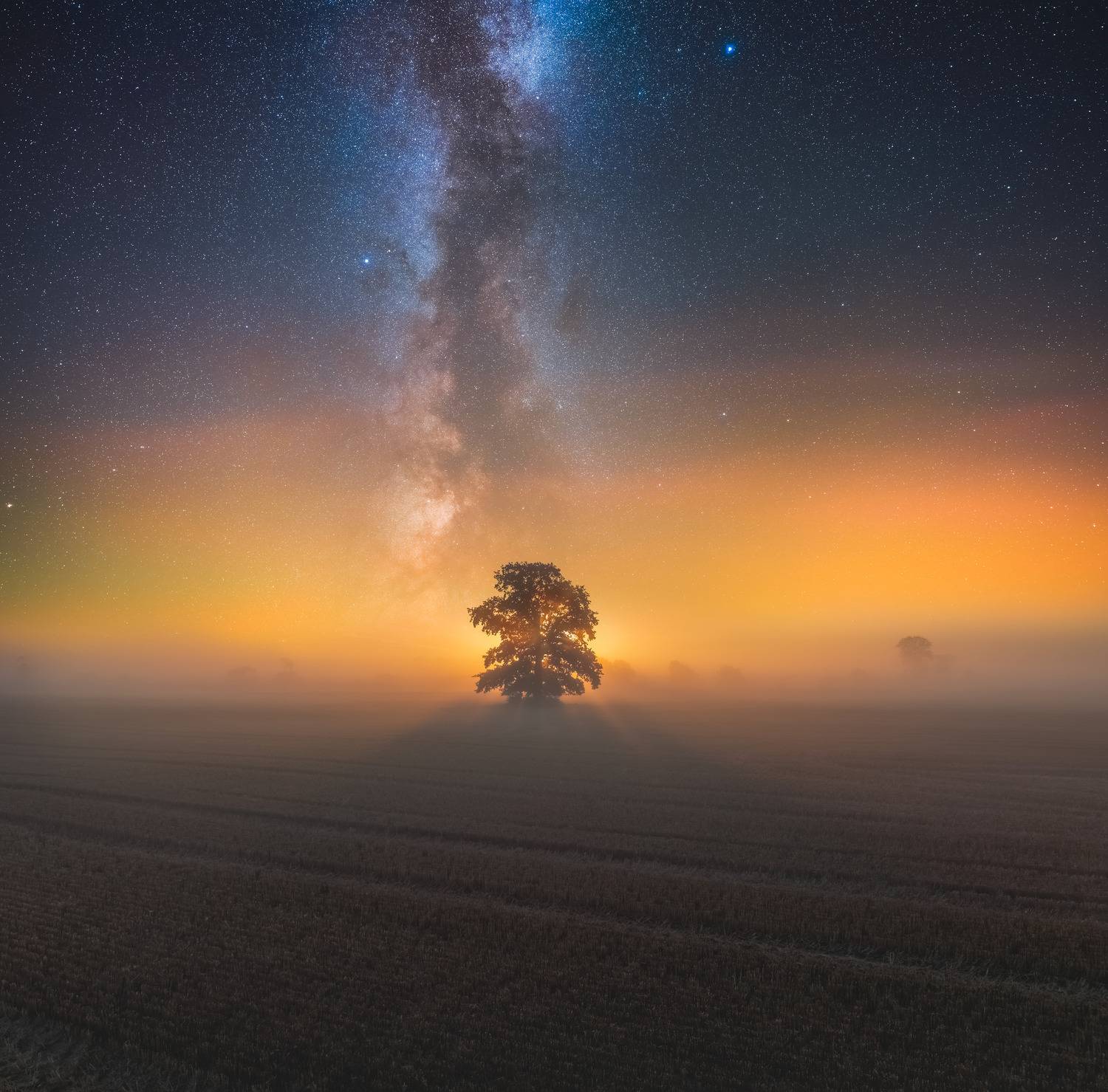 Фотография #13277299