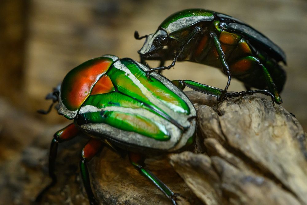 Photograph by Nonnie