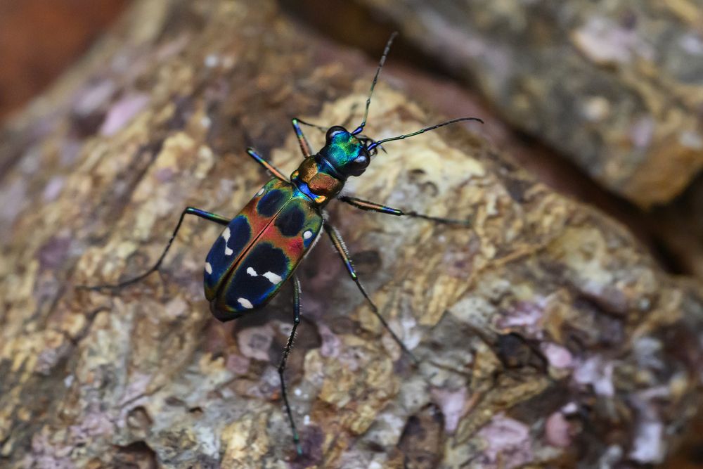 Photograph by Nonnie