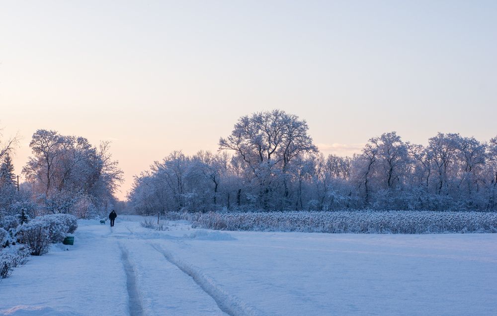 Photograph by Фролов Антон