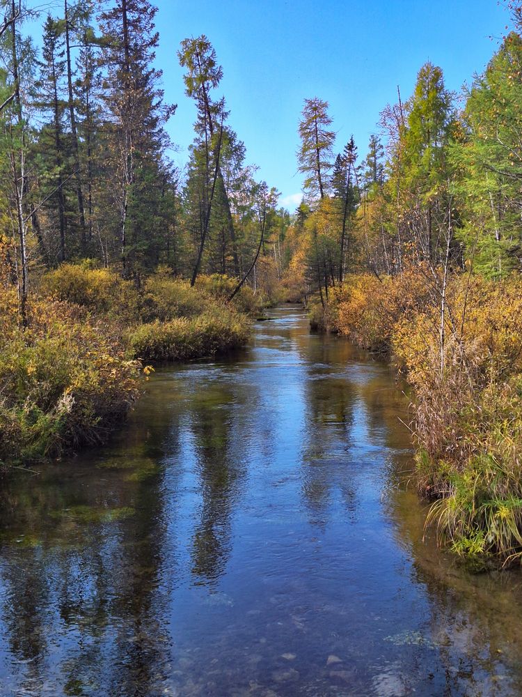 Фотография автора Пешков Егор