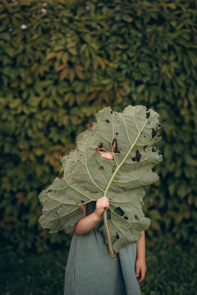 Photograph by Анна Бобко
