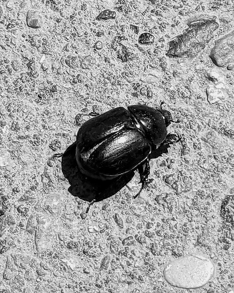 Photograph by Lilit Petrosyan