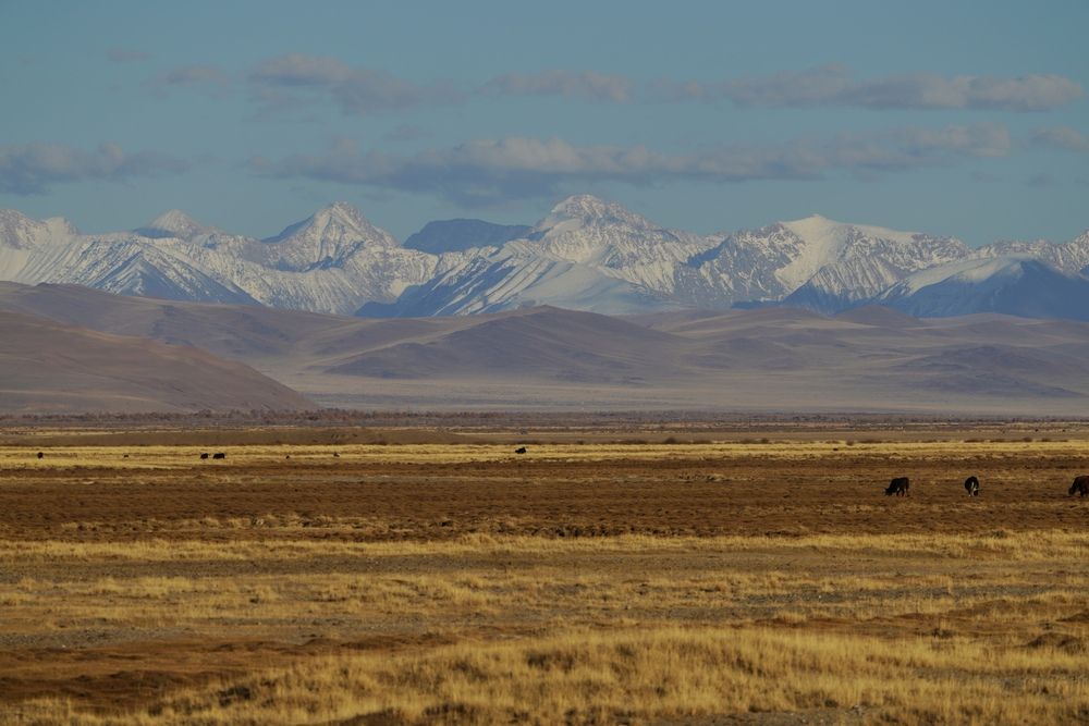 Photograph by Кузнецов Андрей