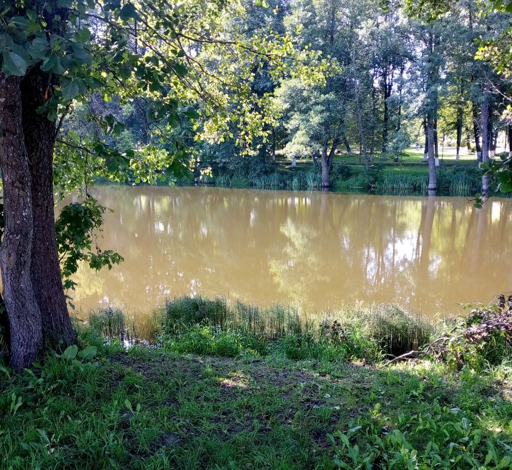 Photograph by Ирина Жемчужина