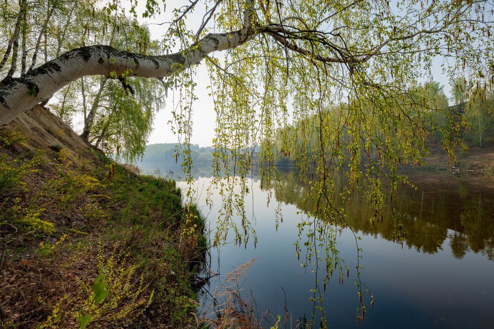 Photograph by Власов Андрей