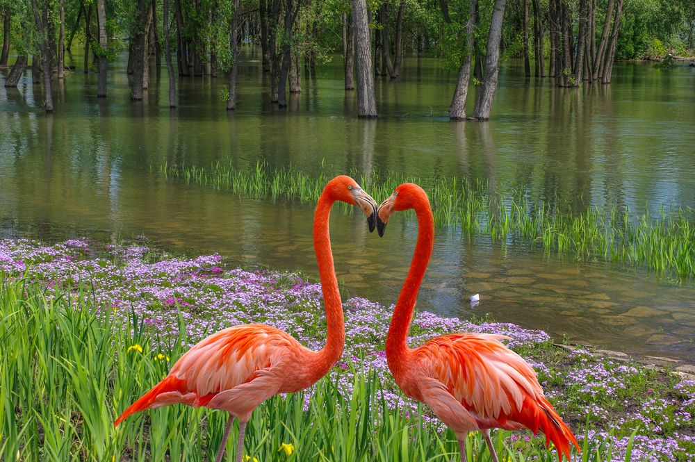 Photograph by Михаил Измайлов