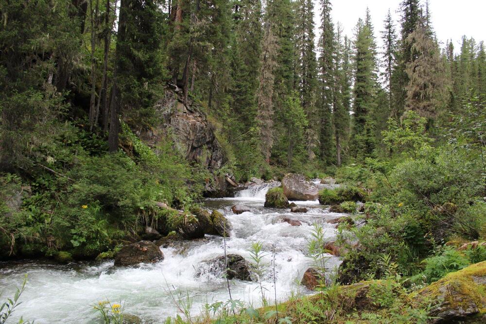 Фотография автора Людмила Таерова