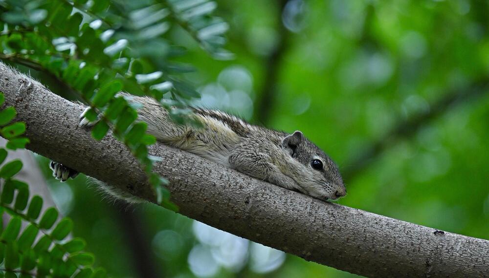 Photograph by Nikunj Hogade