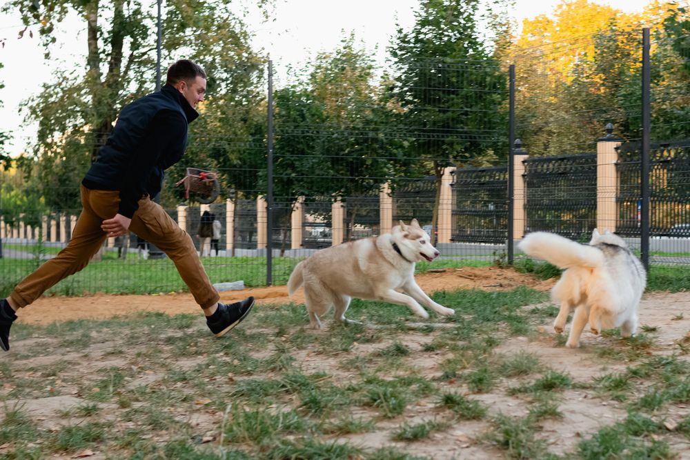 Photograph by Юлия Коноплина