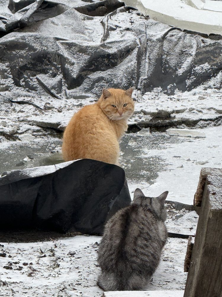 Photograph by Татьяна