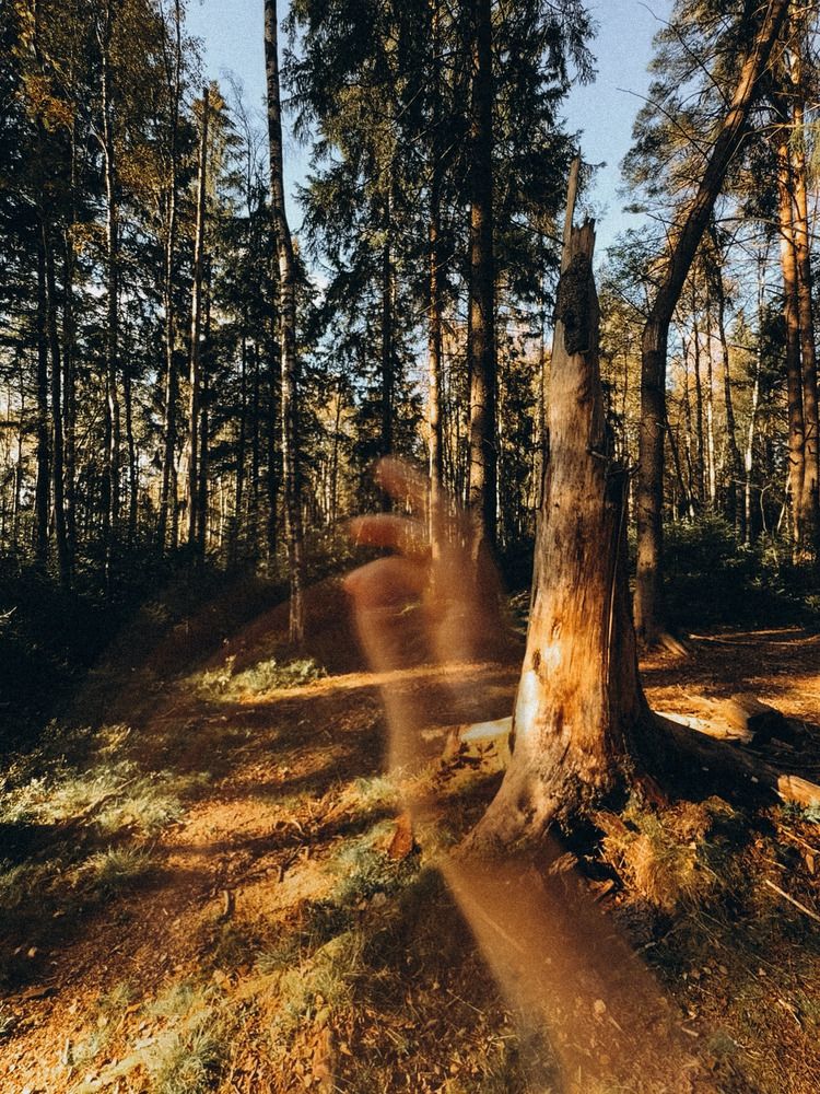 Photograph by Елена Михалева