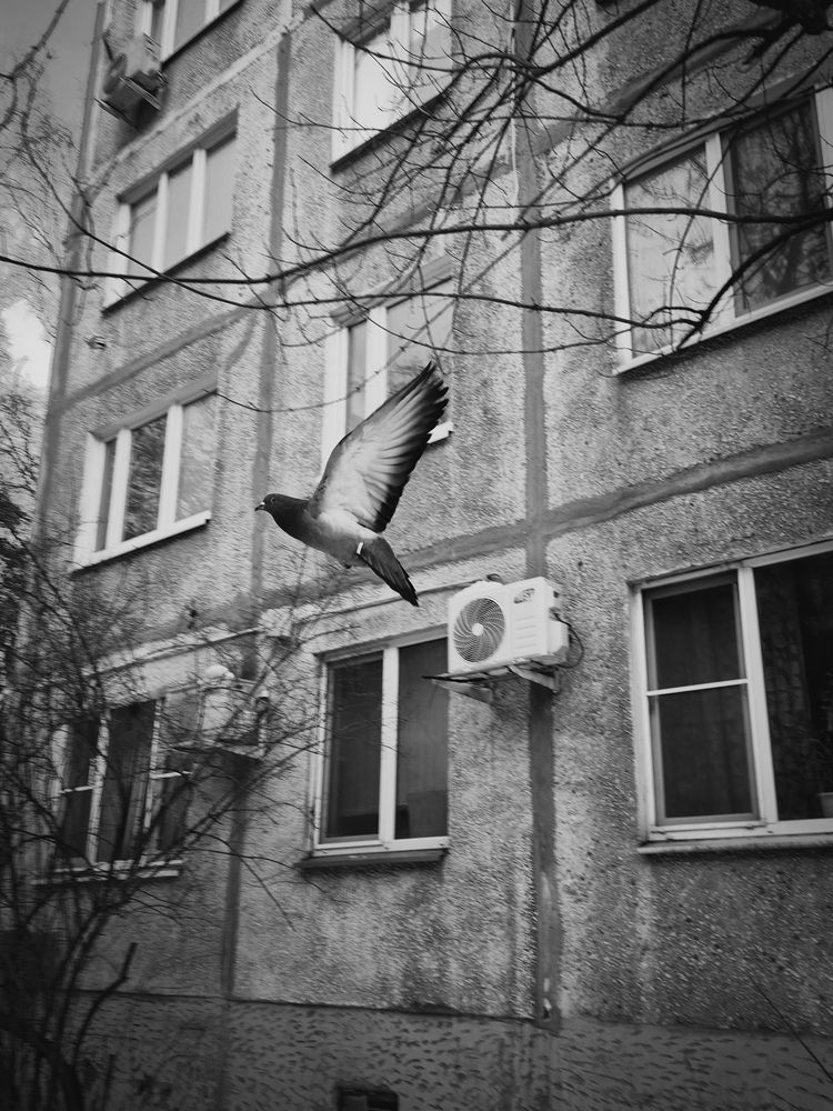 Фотография автора Мария Жуковская