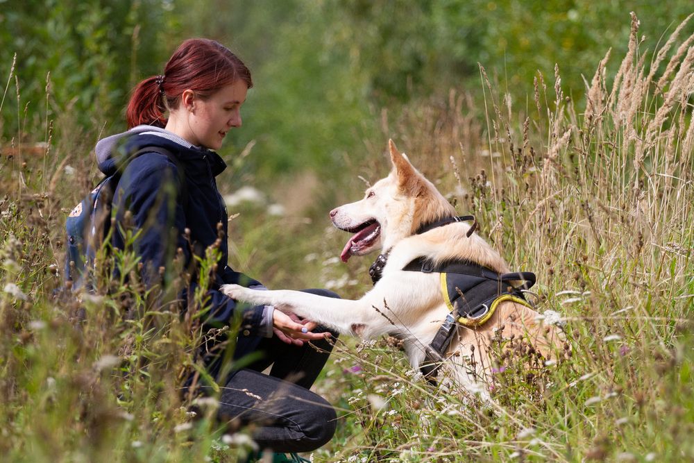 Юлия и Пират.