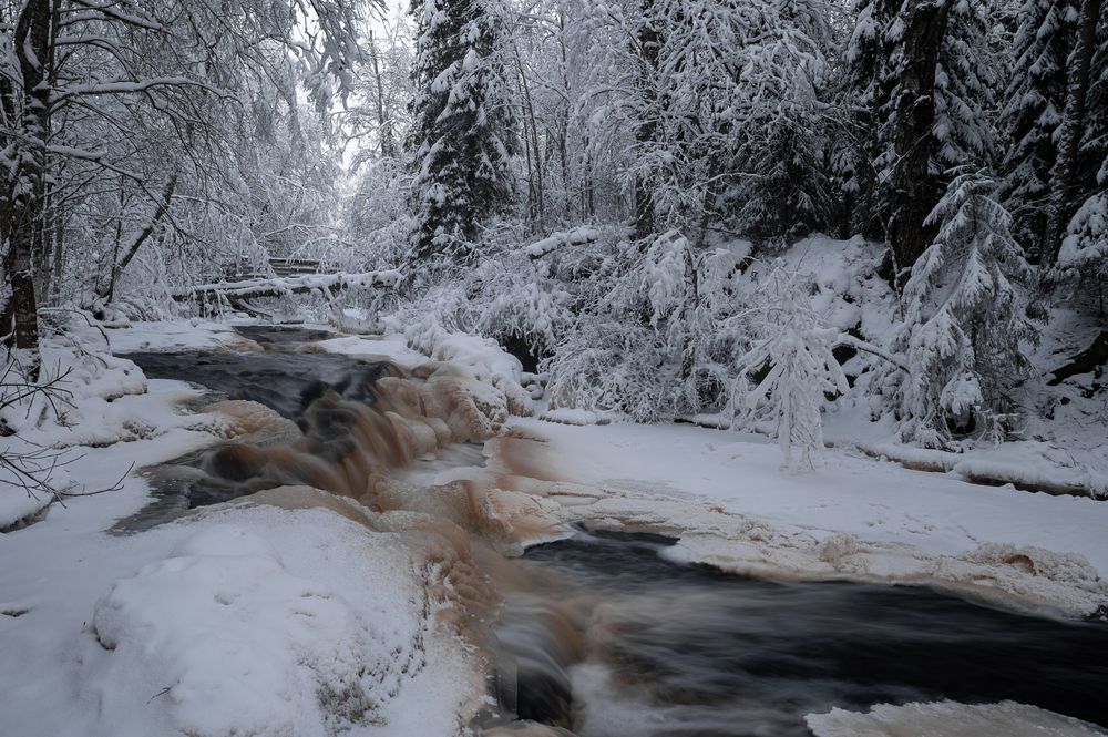 Photograph by Анна Василькова