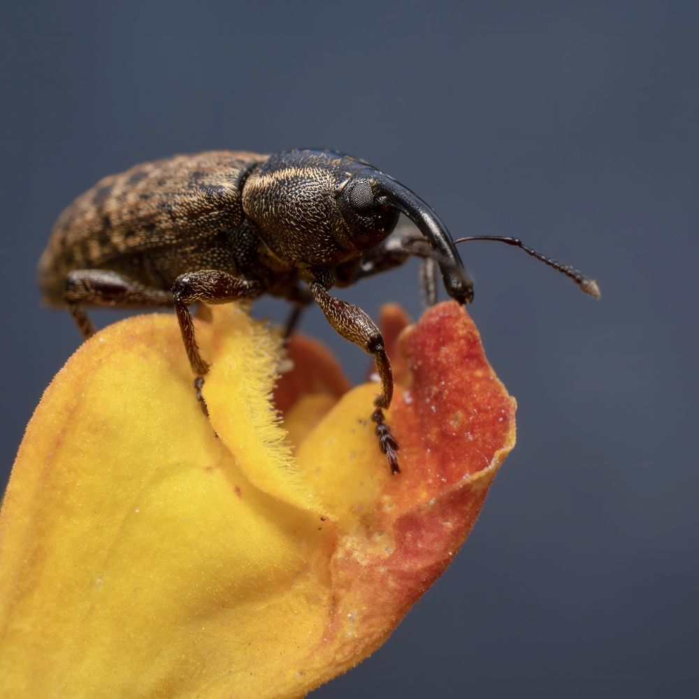 Photograph by Железнова Людмила