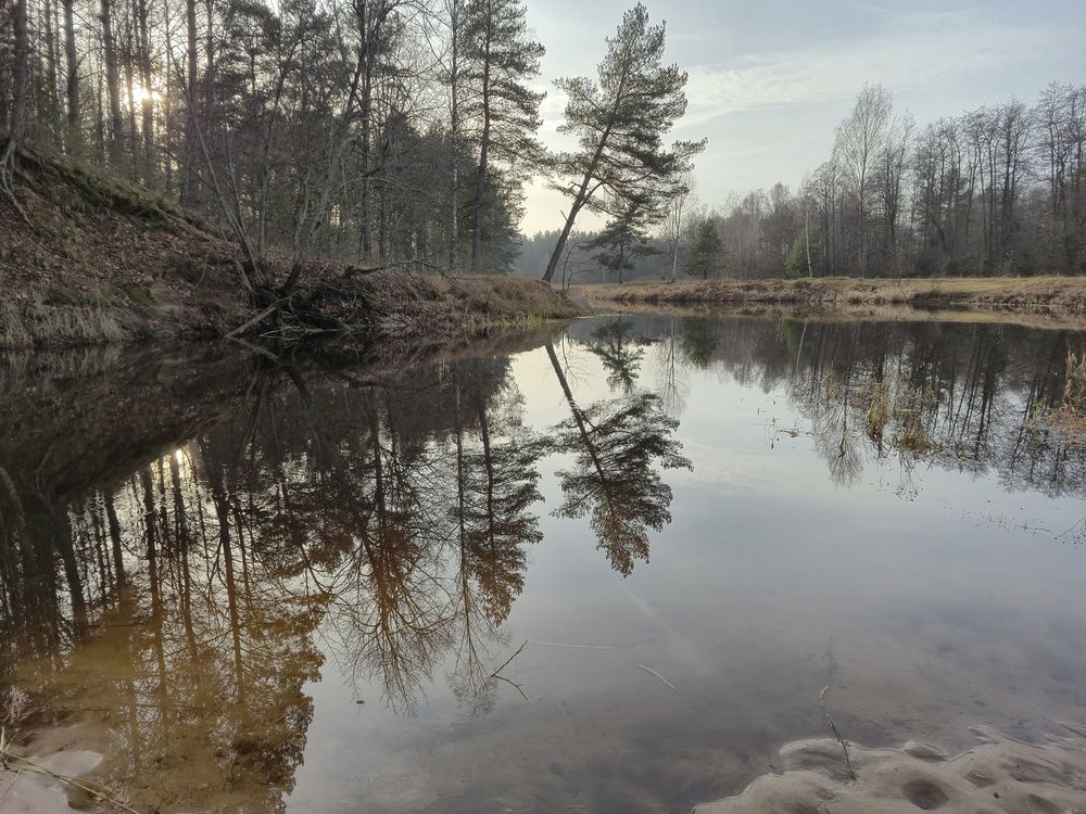 Photograph by Татьяна Глухова