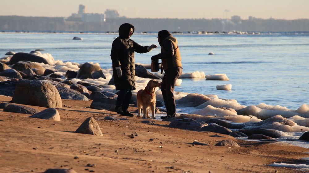 Фотография автора Галина Швыркова