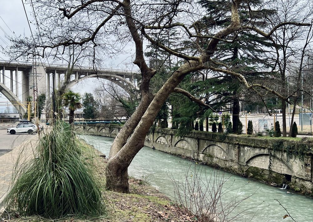 Photograph by Олег Банковский