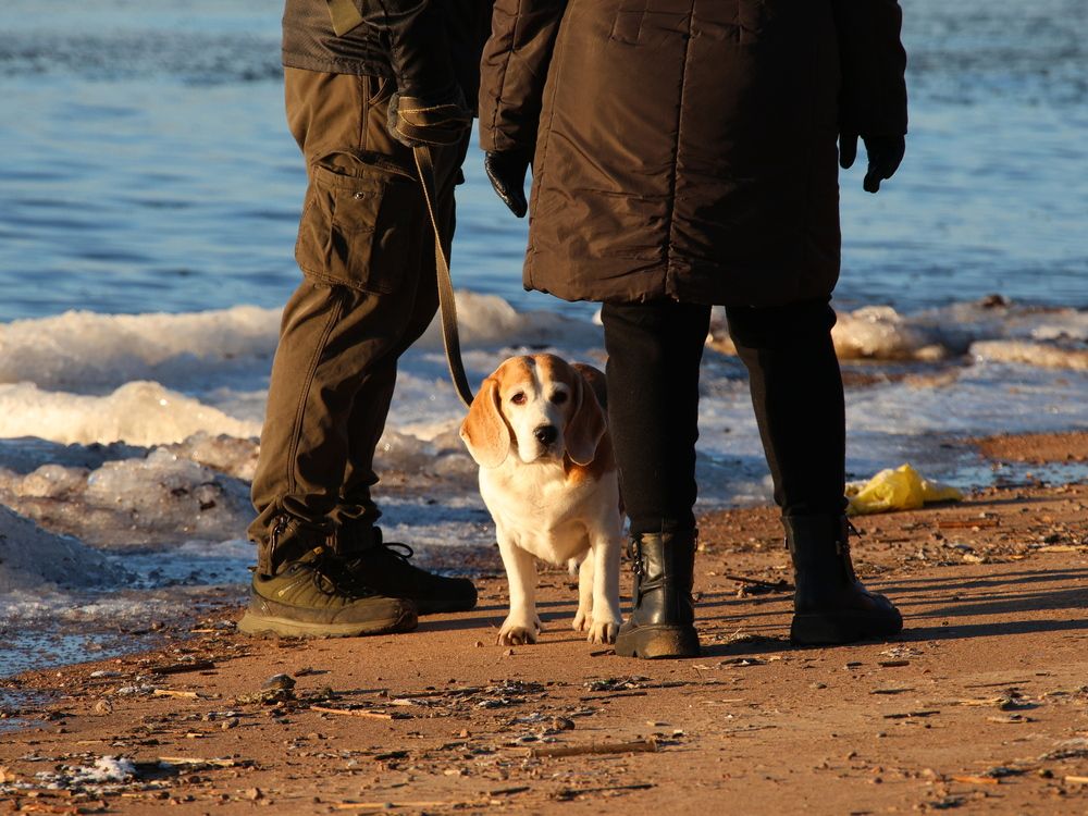 Фотография автора Галина Швыркова