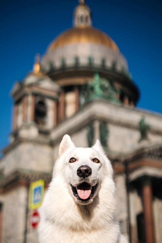 Photograph by Светлана Лысич