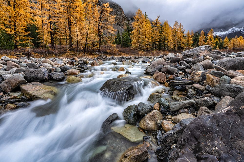 Photograph by Vladimir Ostapenko