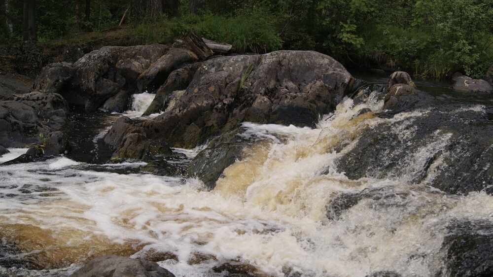 Photograph by Лариса Андреева