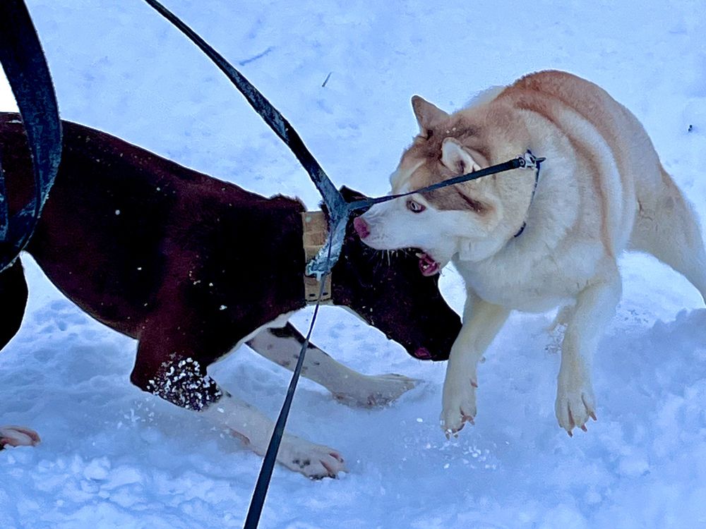 Photograph by Юлия Коноплина