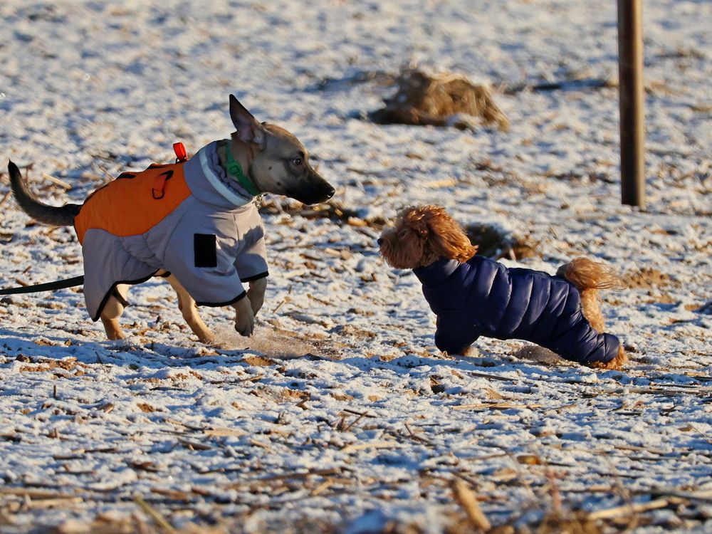 Фотография автора Галина Швыркова