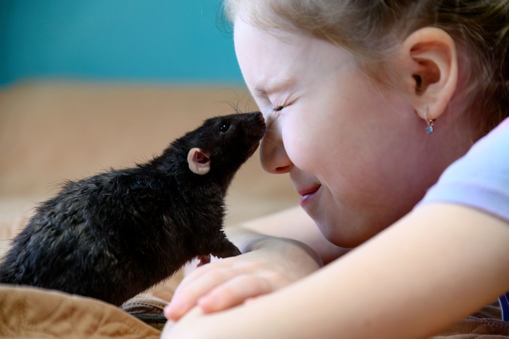 Фотография автора Станислав Левандовский