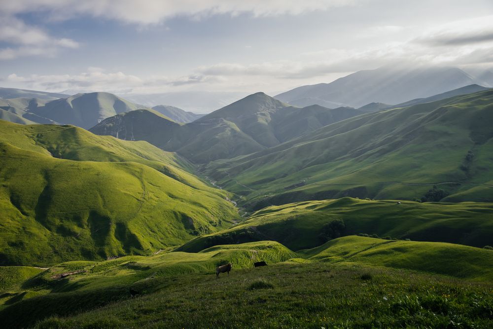 Photograph by Раздорова Мария