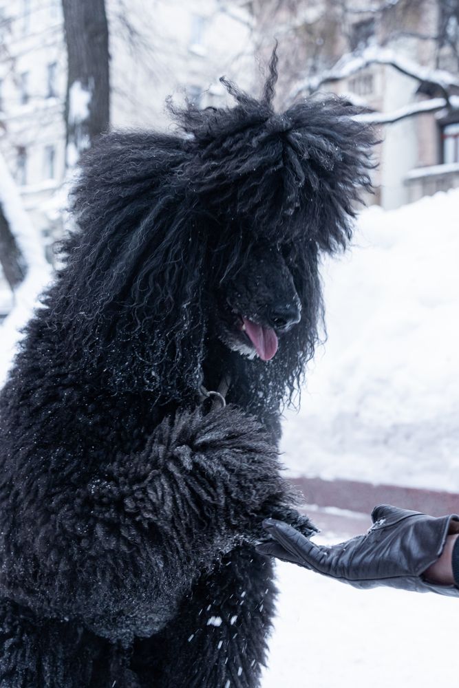 Photograph by Арсений Крят